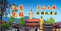 黄色草逼视频江苏无锡灵山大佛旅游风景区