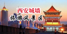 肏穴中国陕西-西安城墙旅游风景区