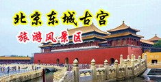 小淫穴视频中国北京-东城古宫旅游风景区